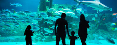 FAMILY MEMBERSHIPS | North Carolina Aquarium Society