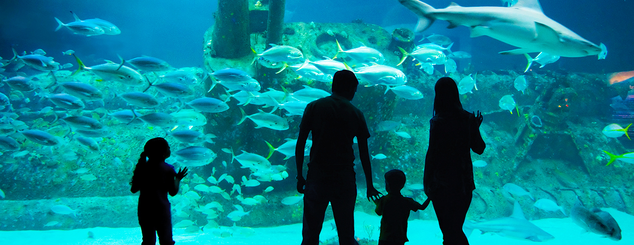 FAMILY MEMBERSHIPS North Carolina Aquarium Society