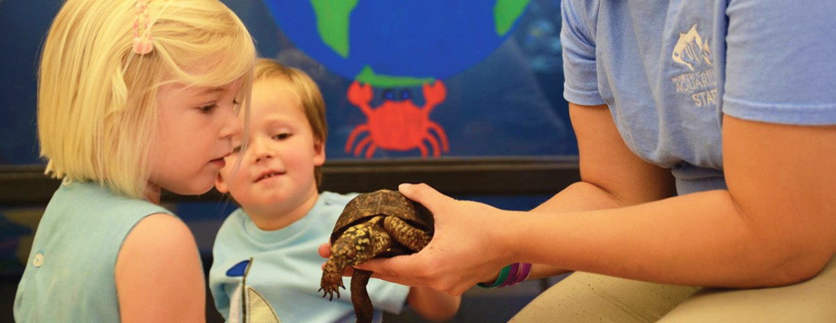 DONATE | North Carolina Aquarium Society