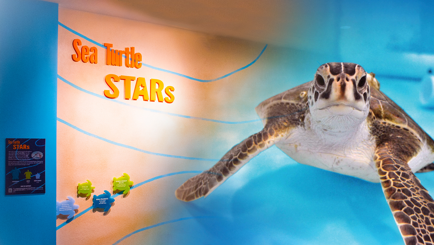 Donors North Carolina Aquarium Society