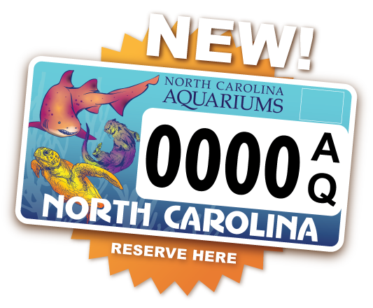 Check out our NEW Aquarium Gift Cards!